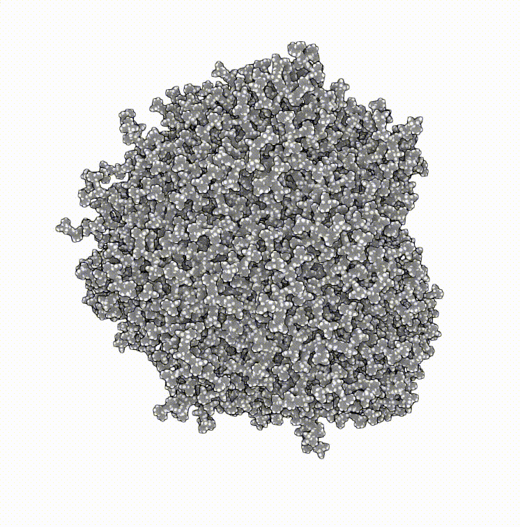 _static/figs/qbicsmolstar-12.gif